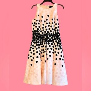 NWT Tahari ASL Black Polka Dot Jacquard Pleated Flare Dress in Blush